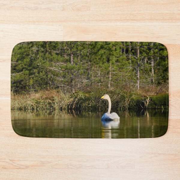 Item preview, The pair and incubation period behind the pines. Whooper swan designed and sold by Jouko Lehto Photography.