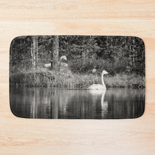 Item preview, The pair and incubation period. Whooper swan designed and sold by Jouko Lehto Photography.