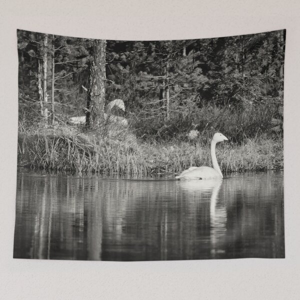 Item preview, The pair and incubation period. Whooper swan designed and sold by Jouko Lehto Photography.