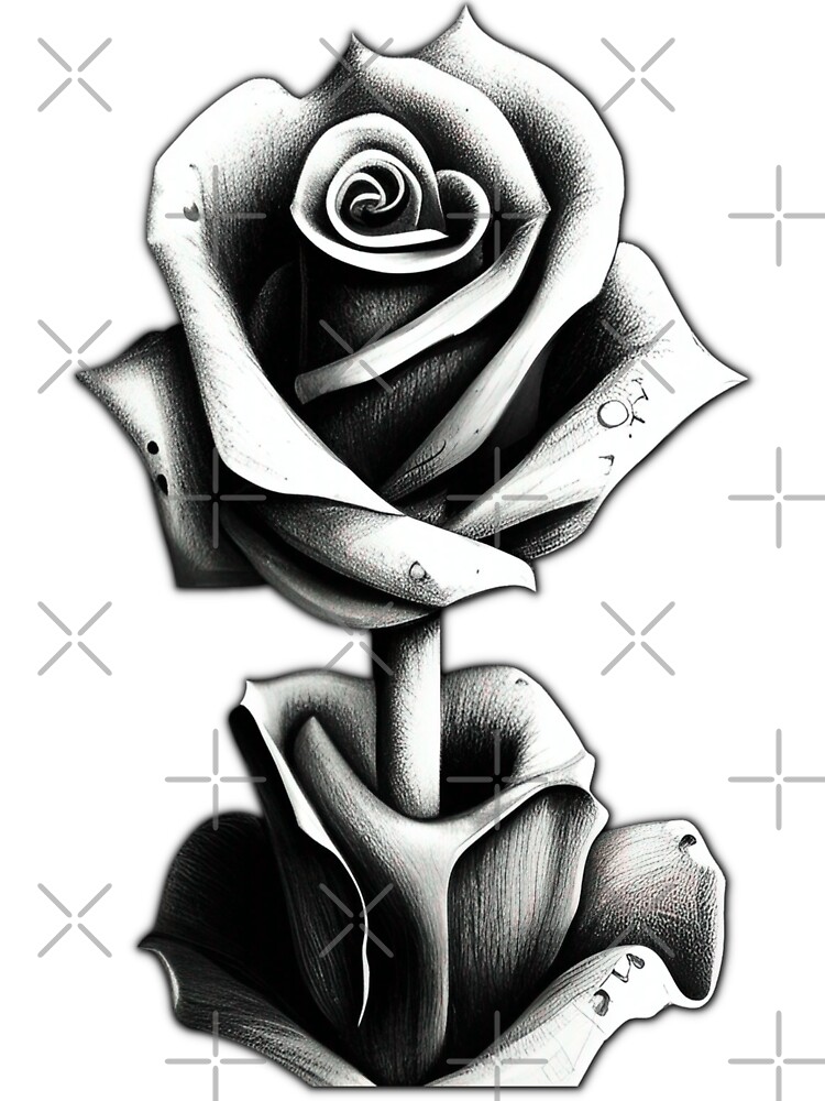 White Rose - graphite pencil drawing botanical illustration by Elena  Parashko