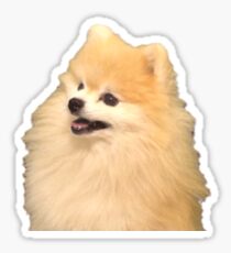 Pommern Sticker