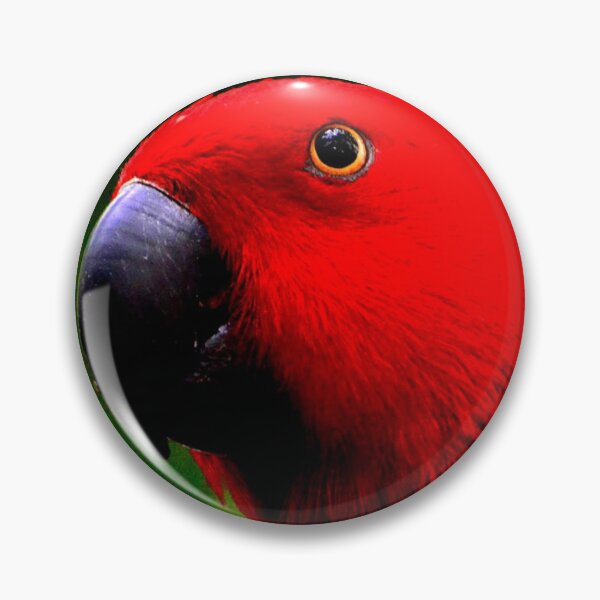 Item preview, Eclectus Roratus designed and sold by ontological.