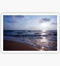 beached jellyfish Sticker