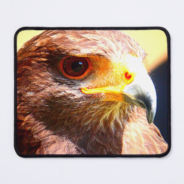 Item preview, Falcon close up designed and sold by angel1.
