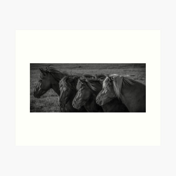 Item preview, Icelandic Horses, 2016 designed and sold by DeigoRusso.