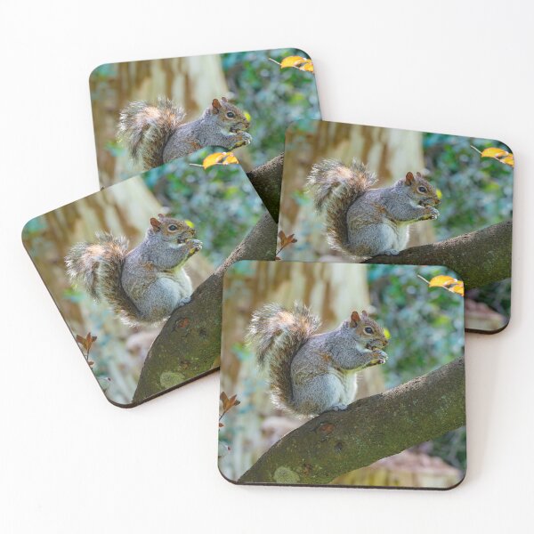 Item preview, A Gray Squirrel eating a nut designed and sold by DesWhelan.