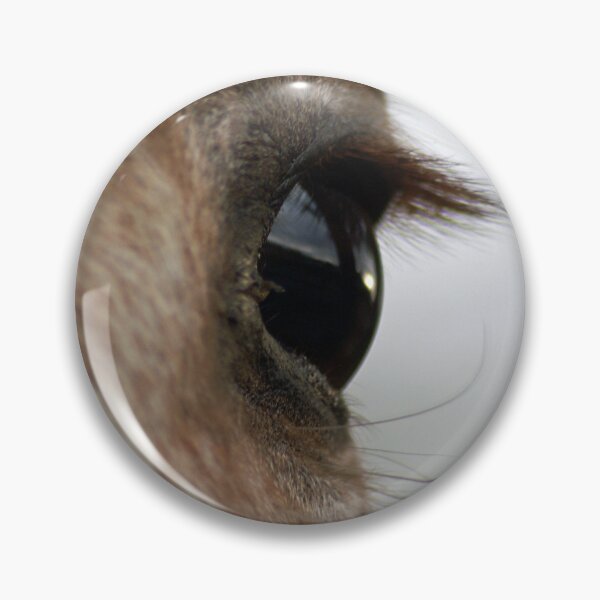 Item preview, Horses eye window of the soul  designed and sold by LorrieBee.