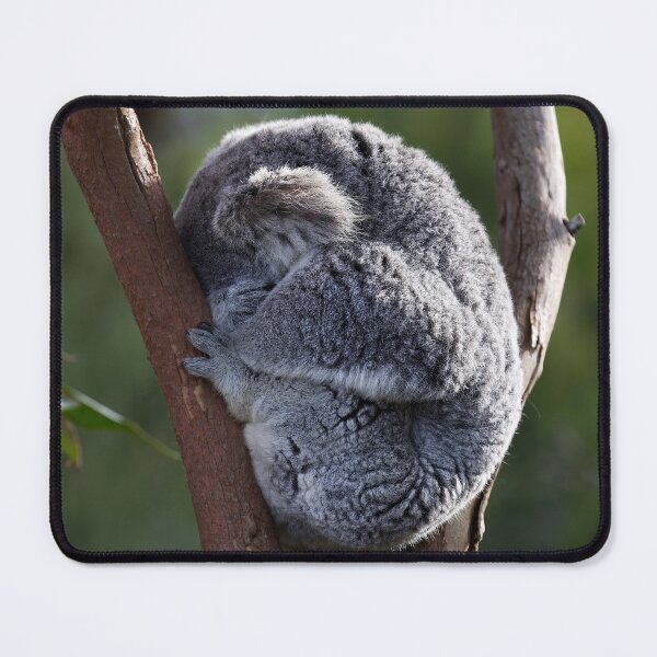 Item preview, Koala's Peaceful Nap Amidst Nature's Embrace designed and sold by NatureSouvenirs.