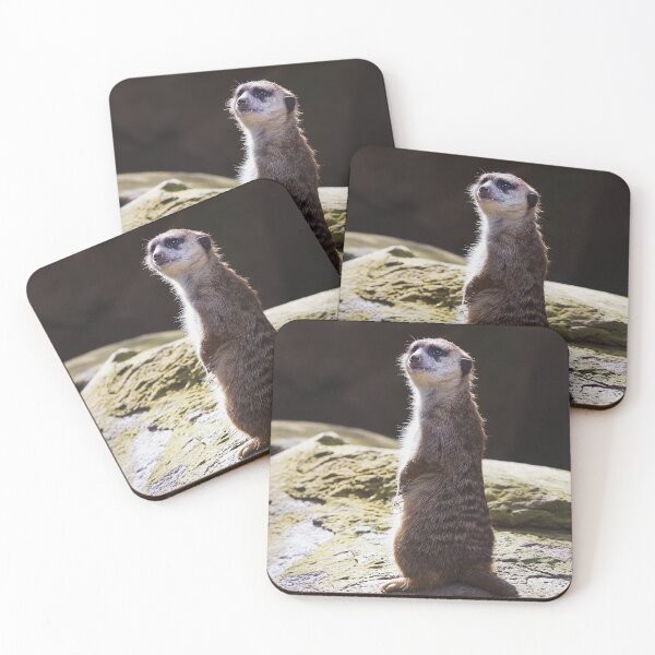 Item preview, Lemur's Gaze from the Stone Summit designed and sold by NatureSouvenirs.