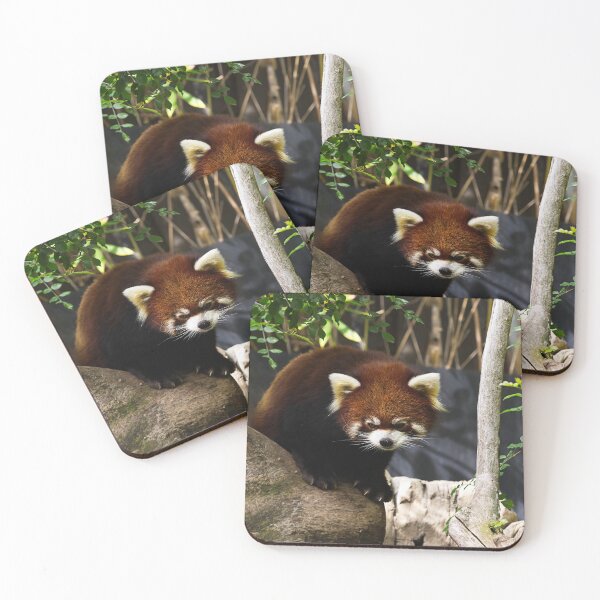 Item preview, Close-Up of the Red Panda designed and sold by NatureSouvenirs.