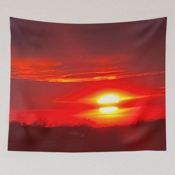 Aperçu de l'œuvre fraise coucher de soleil 5 créée et vendue par Abeink1030.