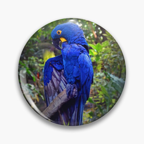 Item preview, Parrot  designed and sold by Savannah Gibbs.