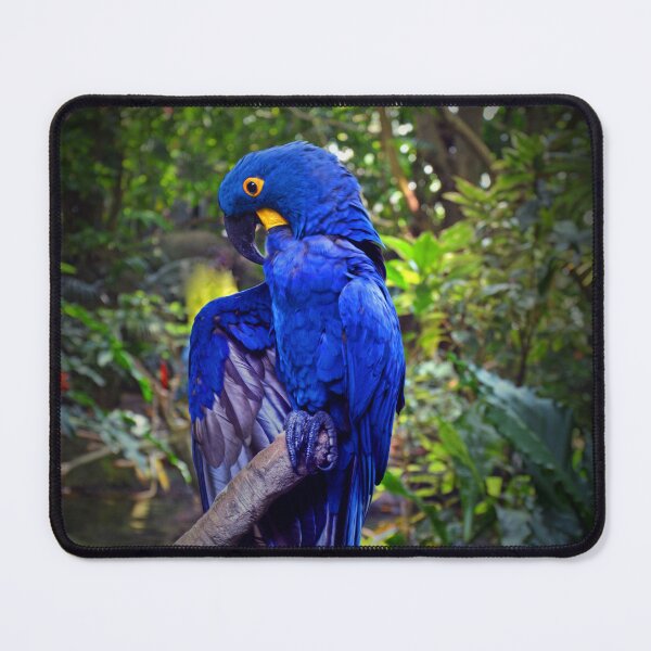 Item preview, Parrot designed and sold by Savannah Gibbs.