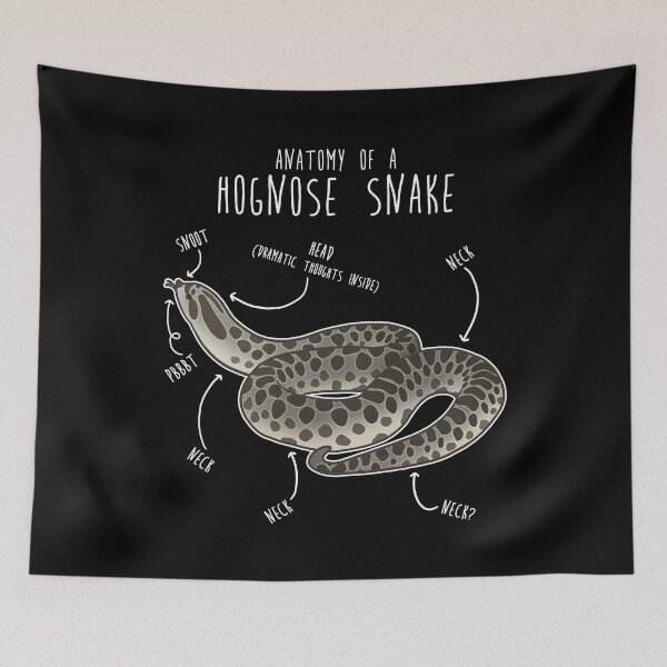 Item preview, Axanthic Hognose Snake Anatomy designed and sold by Clara Hollins.