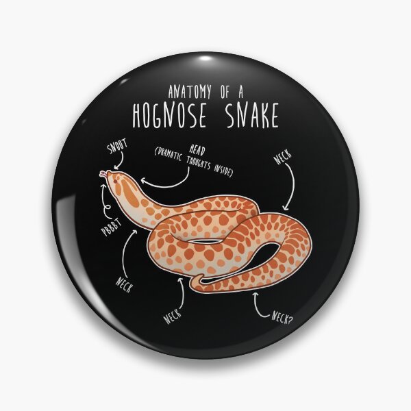 Item preview, Albino Hognose Snake Anatomy designed and sold by Clara Hollins.