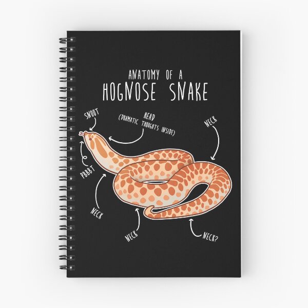 Item preview, Albino Hognose Snake Anatomy designed and sold by Clara Hollins.