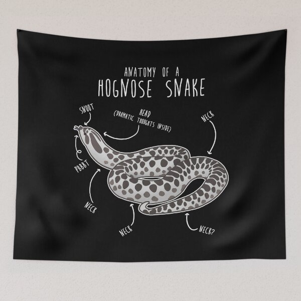 Item preview, Arctic Hognose Snake Anatomy designed and sold by Clara Hollins.
