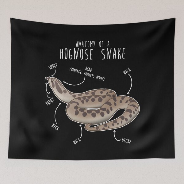 Item preview, Conda Hognose Snake Anatomy Anaconda designed and sold by Clara Hollins.