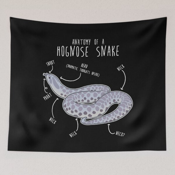 Item preview, Lavendar Hognose Snake Anatomy designed and sold by Clara Hollins.