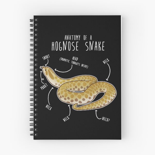 Item preview, Lemon Hypo Ghost Hognose Snake Anatomy designed and sold by Clara Hollins.