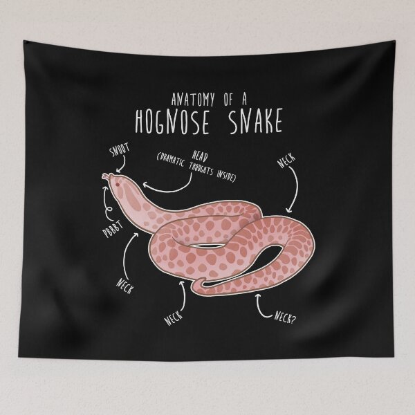 Item preview, Pink Pastel Hognose Snake Anatomy designed and sold by Clara Hollins.