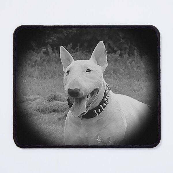 Item preview, White Bullterrier designed and sold by lspadlo.