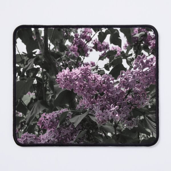 Item preview, Aesthetic Purple Lavender Flowers designed and sold by xxUniverse777.