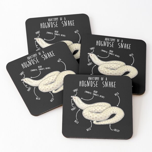 Item preview, Snow Hognose Snake Anatomy designed and sold by Clara Hollins.