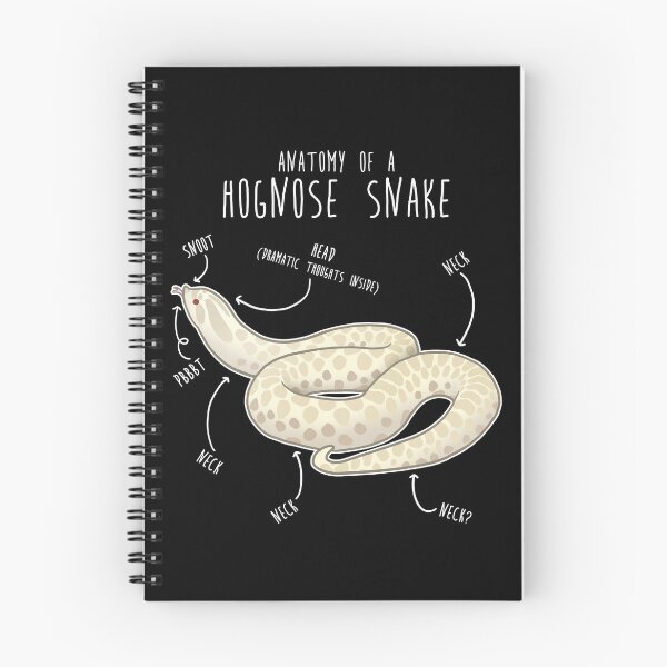 Item preview, Snow Hognose Snake Anatomy designed and sold by Clara Hollins.