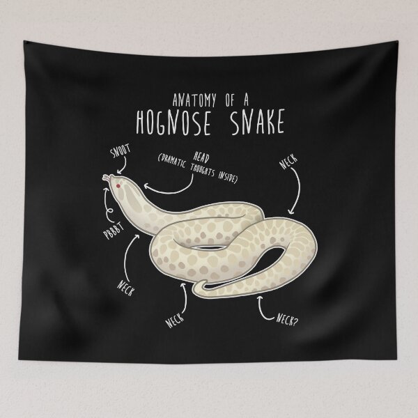 Item preview, Snow Hognose Snake Anatomy designed and sold by Clara Hollins.
