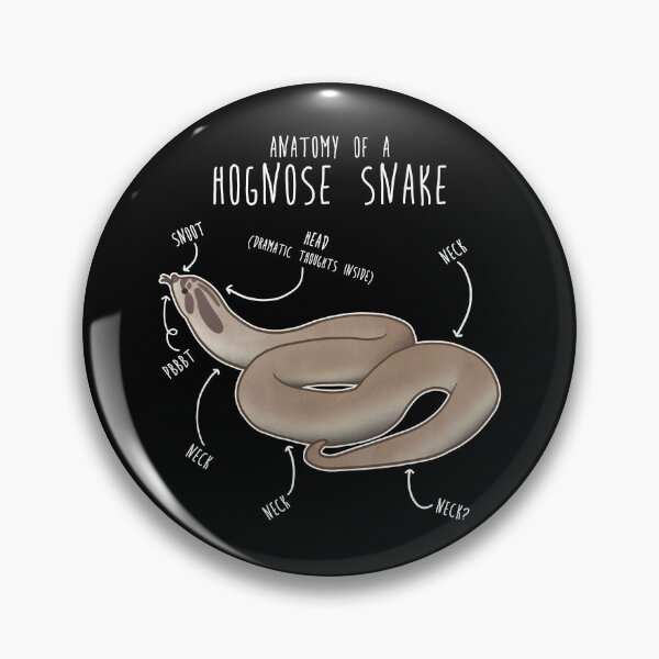 Item preview, Superconda Hognose Snake Anatomy Anaconda designed and sold by Clara Hollins.