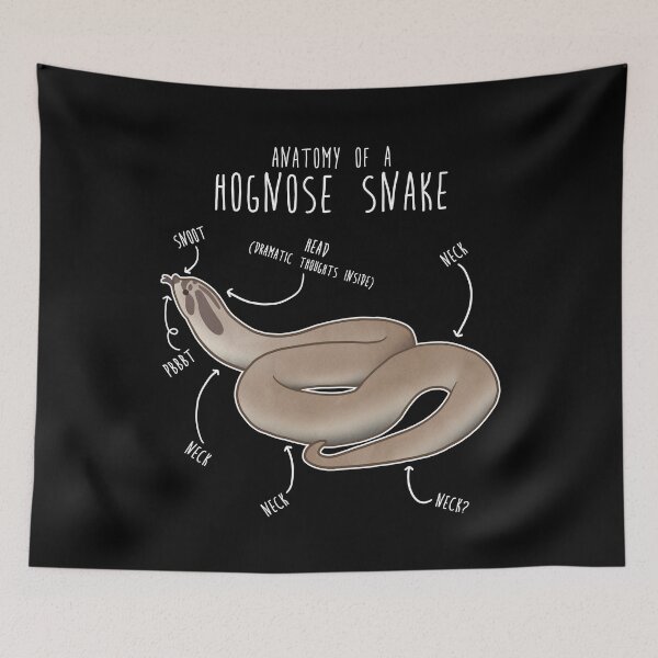 Item preview, Superconda Hognose Snake Anatomy Anaconda designed and sold by Clara Hollins.