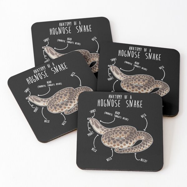 Item preview, Hognose Snake Anatomy designed and sold by Clara Hollins.