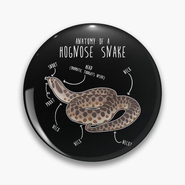Item preview, Hognose Snake Anatomy designed and sold by Clara Hollins.