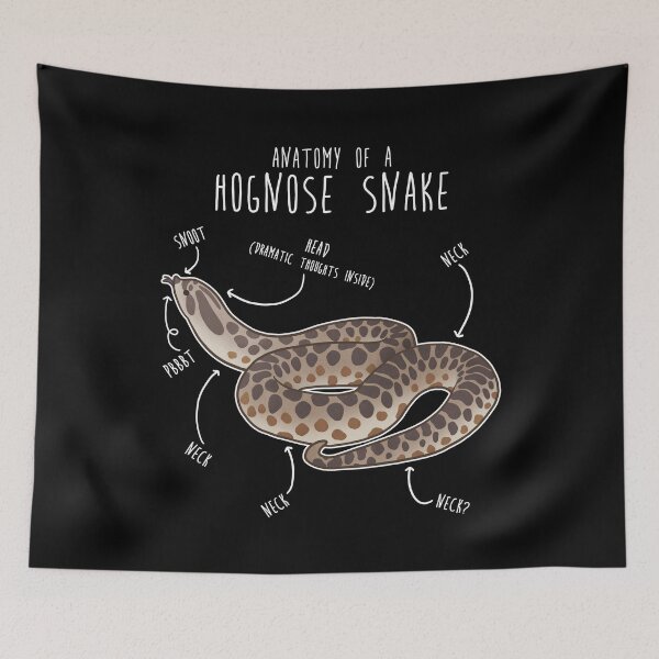 Item preview, Hognose Snake Anatomy designed and sold by Clara Hollins.