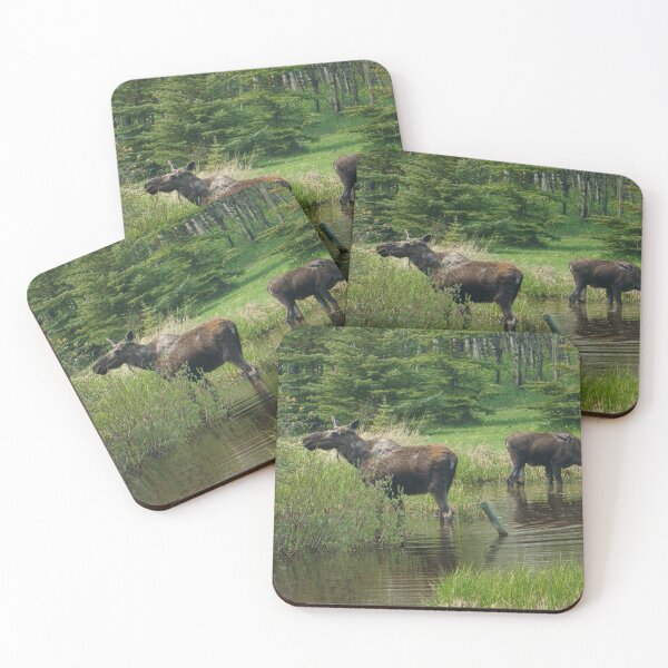 Item preview, Two Peaceful Moose in a Pond designed and sold by Vivar Photo.