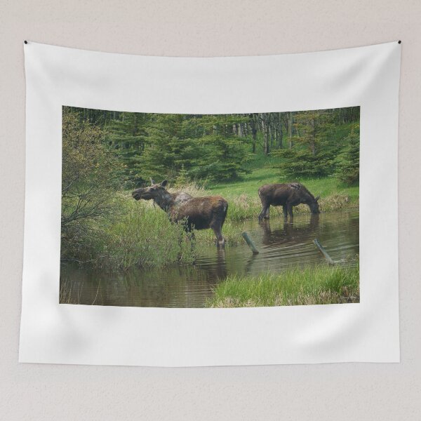 Item preview, Two Peaceful Moose in a Pond designed and sold by Vivar Photo.