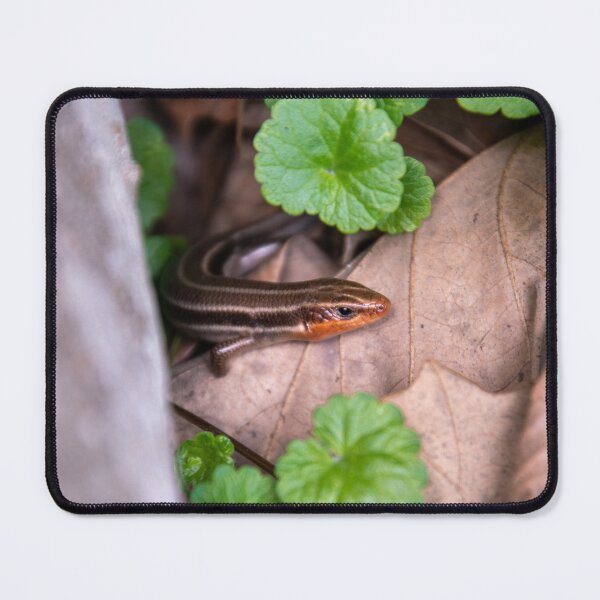 Item preview, Little Lizard designed and sold by Carly-Chapman.