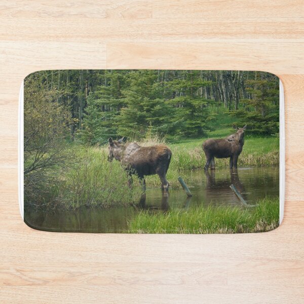 Item preview, Two Moose Standing in a Pond designed and sold by Vivar Photo.