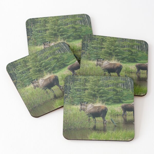 Item preview, Two Moose Standing in a Pond designed and sold by Vivar Photo.