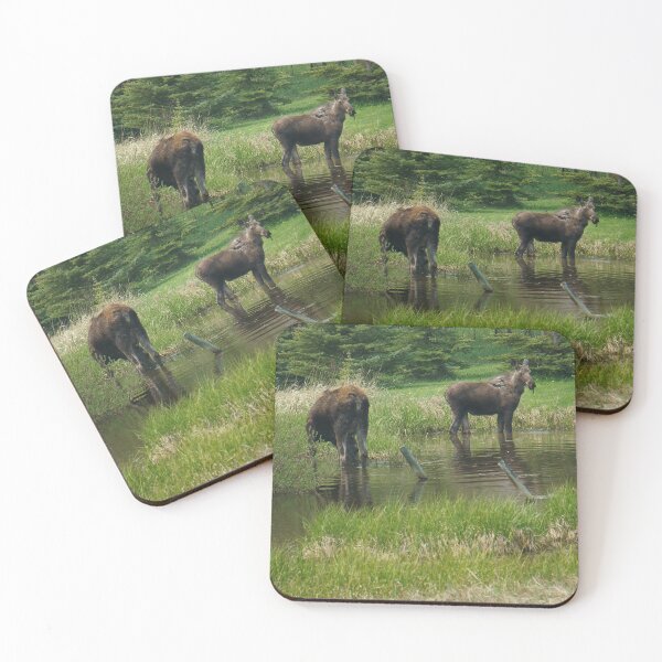 Item preview, Two Moose in a Pond designed and sold by Vivar Photo.