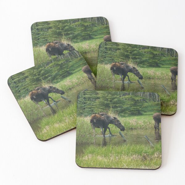 Item preview, Two Moose Foraging in a Pond designed and sold by Vivar Photo.