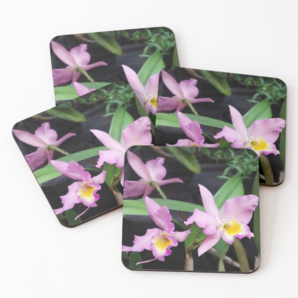Item preview, Cattleya Horace Maxima Orchid designed and sold by rvjames.