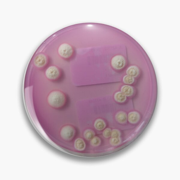 Item preview, Moulds on DRBCA designed and sold by Fromthelab.