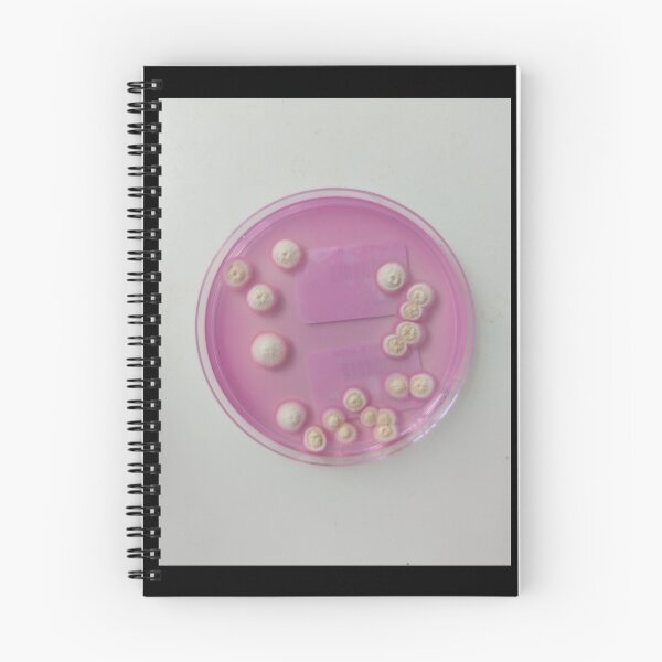 Item preview, Moulds on DRBCA designed and sold by Fromthelab.
