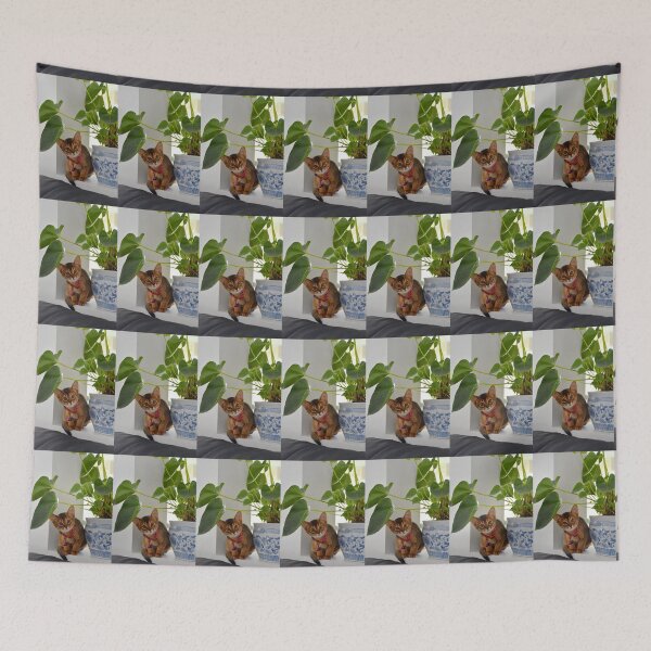 Item preview, Shy Lulu designed and sold by TraceyannR.
