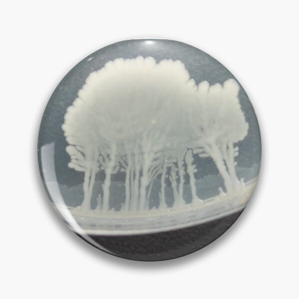 Item preview, Tree-like white bacterial colonies on PCA designed and sold by Fromthelab.