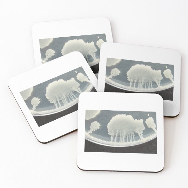 Item preview, Tree-like white bacterial colonies on PCA designed and sold by Fromthelab.