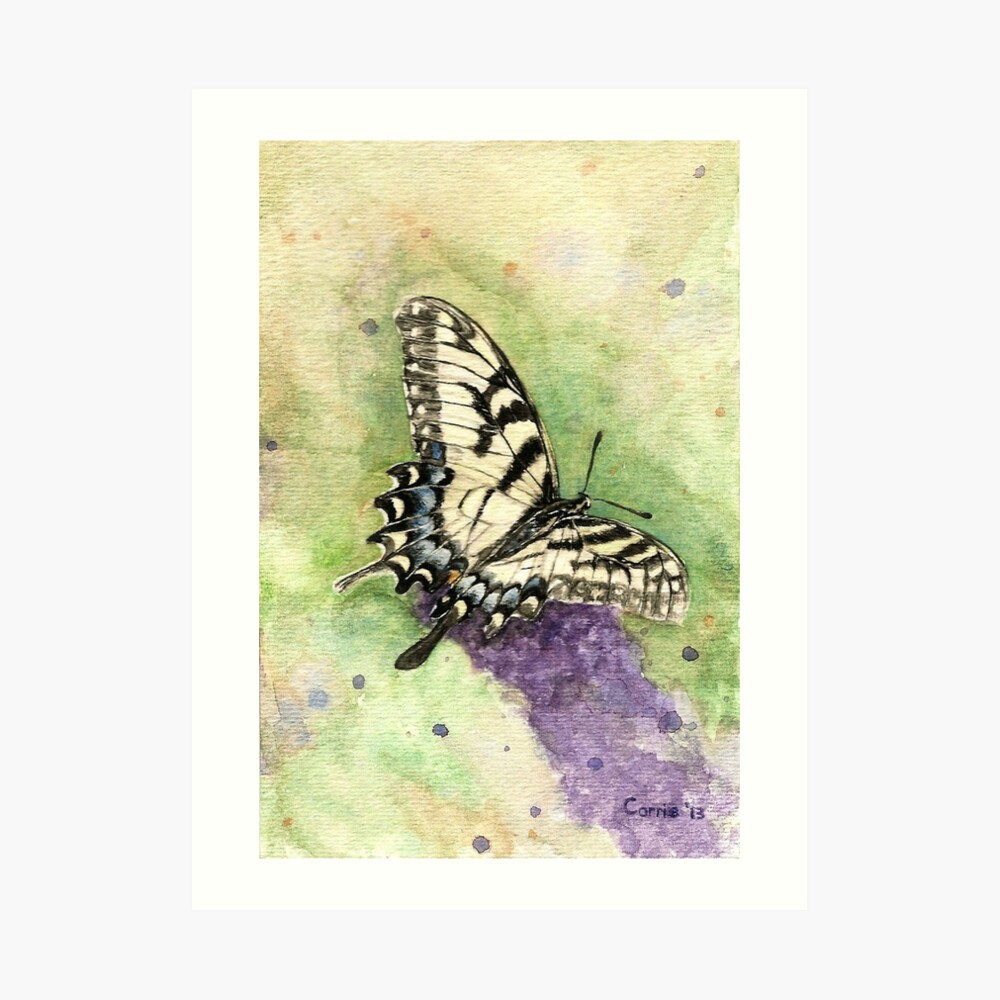 Original Art - Colorful Swallowtail Butterfly Floral Watercolor Painti