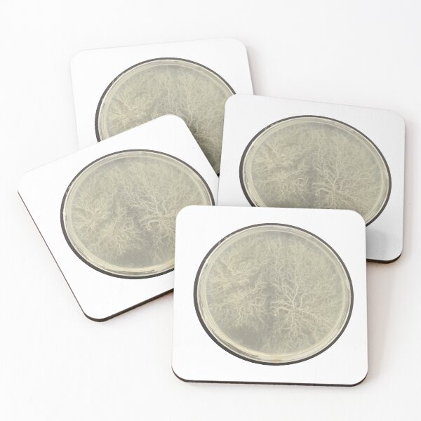 Item preview, Delicately branching white colonies on PCA designed and sold by Fromthelab.